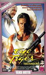 Eye of the Tiger Eye of the Tiger