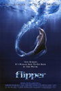 Flipper Flipper