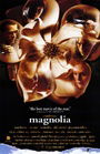 Magnolia Magnolia