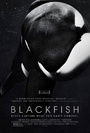 Blackfish Blackfish