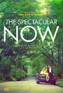 The Spectacular Now The Spectacular Now