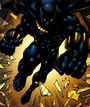 Black Panther Black Panther