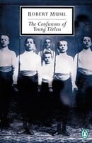 The Confusions of Young Torless (Penguin 20th Century Classics)