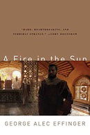 A Fire in the Sun (Budayeen Series)