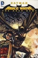 Batman: Bruce Wayne The Road Home