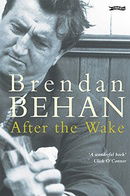 After The Wake (Classic Irish Fiction)