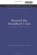 Beyond the Woodfuel Crisis: People, land and trees in Africa (Energy and Infrastructure Set)