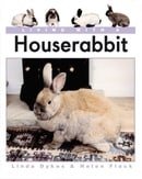 Living with a House Rabbit