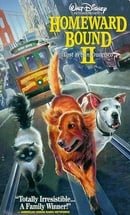 Homeward Bound II - Lost in San Francisco (Walt Disney Pictures Presents) [VHS]