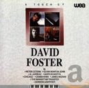 David Foster : Touch of ..