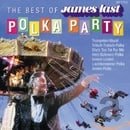 Best of Polka Party