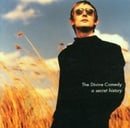 A Secret History: the Best of the Divine Comedy