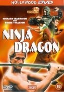 Ninja Dragon [1986]