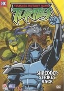 Teenage Mutant Ninja Turtles - Shredder Strikes Back (Volume 6)