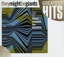 A User's Guide To They Might Be Giants