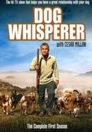 Dog Whisperer With Cesar Millan: Comp First Season   [Region 1] [US Import] [NTSC]