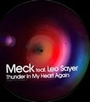 Thunder in My Heart Again [Vinyl]