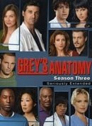 Grey's Anatomy - The Complete Third Season