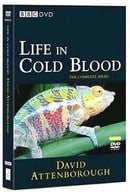 David Attenborough - Life in Cold Blood 