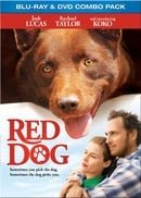 Red Dog BD Combo 