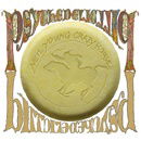 Psychedelic Pill