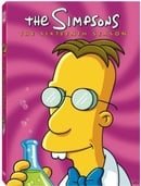 The Simpsons: The Sixteenth Season