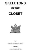 Skeletons in the closet (The Phoenix Journals Book 13)