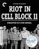 Riot in Cell Block 11 (The Criterion Collection) (Blu-ray + DVD)