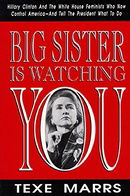 Big Sister Is Watching You:: Hillary Clinton and the White House Feminists Who Now Control America—A