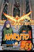 Naruto, Vol. 64: Ten Tails