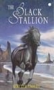 The Black Stallion (Hodder modern classic)