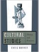 Cultural Studies: Theory and Practice