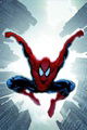 Spider-Man: Brand New Day Volume 2 TPB: Brand New Day v. 2 (Graphic Novel Pb)
