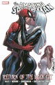 Spider-Man: Return of the Black Cat