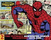 The Amazing Spider-Man: The Ultimate Newspaper Comics Collection Volume 2 (1979-1981) (Amazing Spide