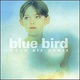 Blue Bird