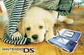 Blue Nintendo DS Handheld Console with Nintendogs: Labrador & Friends