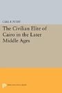 The Civilian Elite of Cairo in the Later Middle Ages (Princeton Legacy Library)