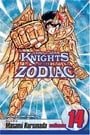 Knights of the Zodiac (Saint Seiya): Volume 14