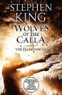 Wolves of the Calla (The Dark Tower)