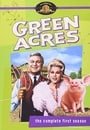 Green Acres: Complete First Season  [Region 1] [US Import] [NTSC]
