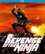 Revenge of the Ninja   [US Import]