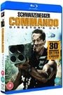 Commando: Director