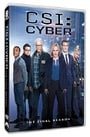 CSI: Cyber - The Final Season
