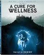 A Cure For Wellness 