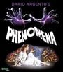 Phenomena (2-Disc Blu-ray)
