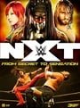 WWE: NXT: From Secret to Sensation