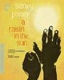 A Raisin in the Sun (The Criterion Collection) 