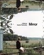 Mirror (The Criterion Collection) 