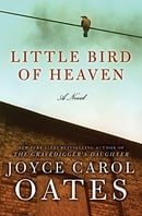 Little Bird of Heaven: A Novel